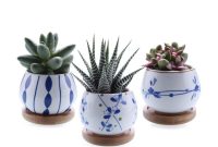 Set of 3 Japanese Style Ceramic Planter Plant Pot Plants | Etsy Set of 3 Japanese Style Ceramic Planter Plant Pot Plants | Etsy